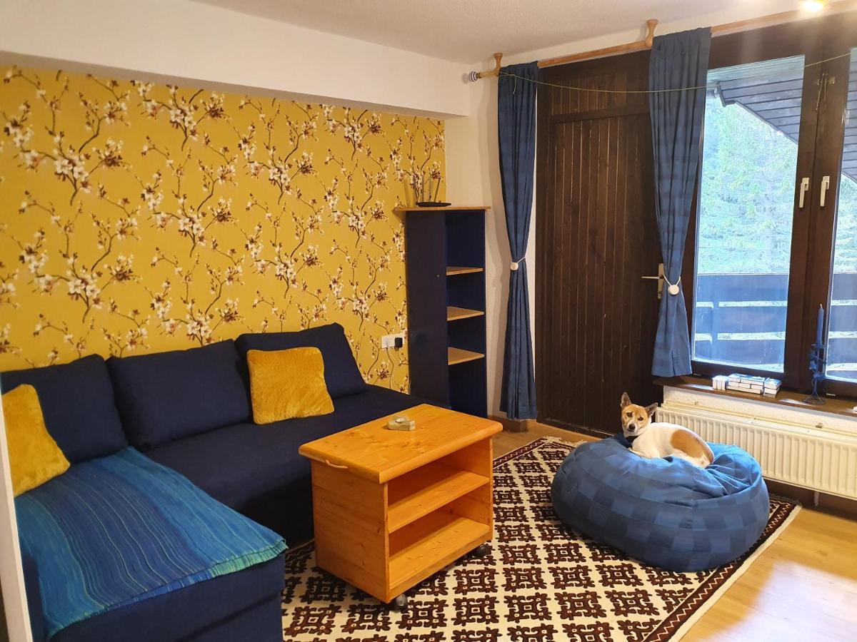 M & M Apartment Krvavec Cerklje na Gorenjskem Eksteriør bilde